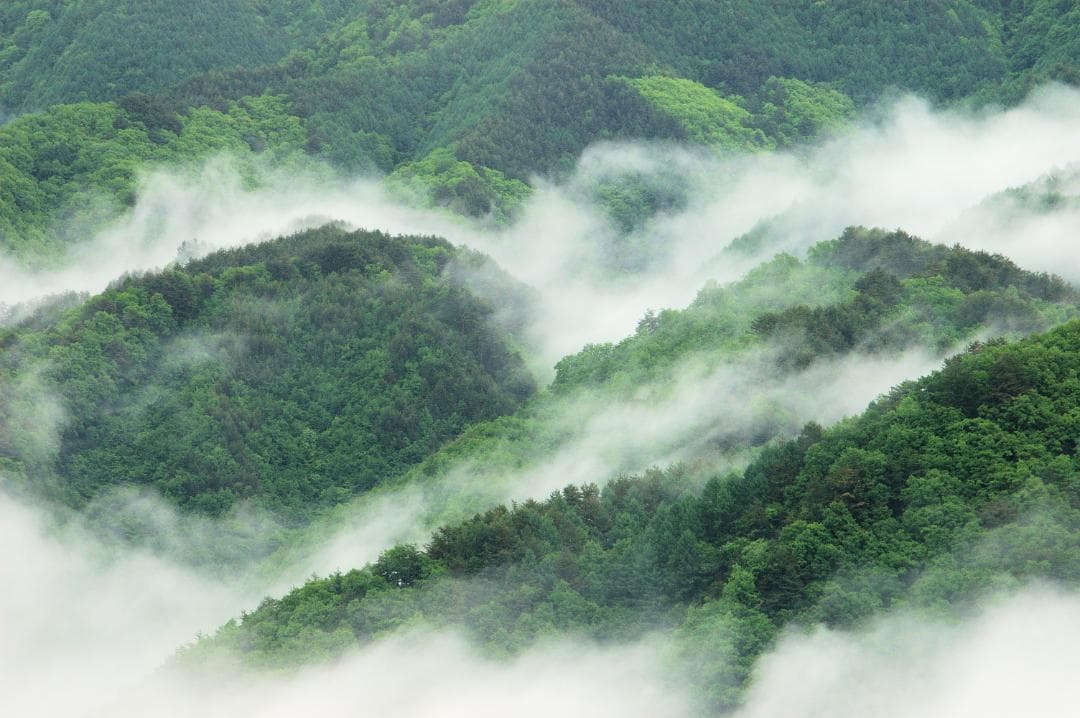 緑色の山と霧の風景写真額装（A3判。オリジナルフォト。ハクバ製フレーム）