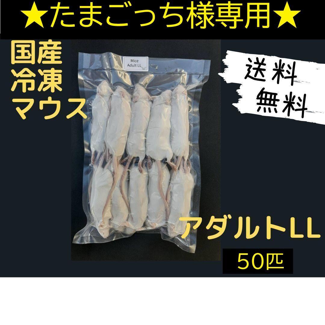 ★たまごっち★国産 冷凍マウス アダルトLL 50匹（一部地域発送不可）