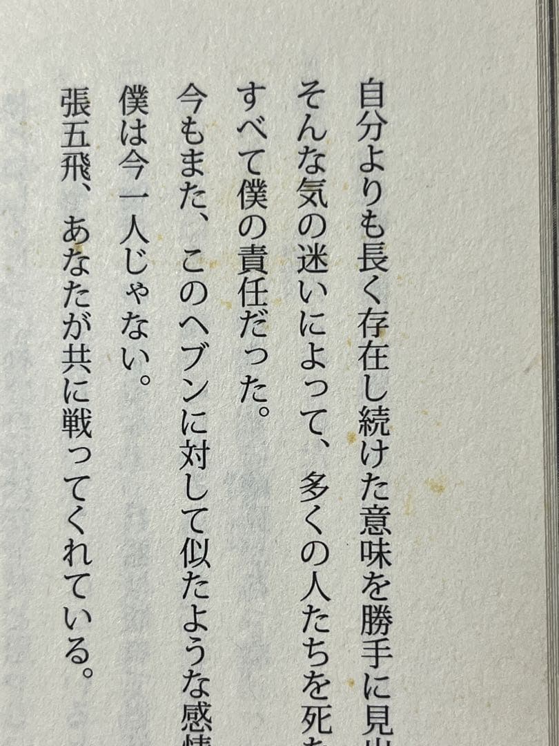 新機動戦記ガンダム W フローズン・ティアドロップ