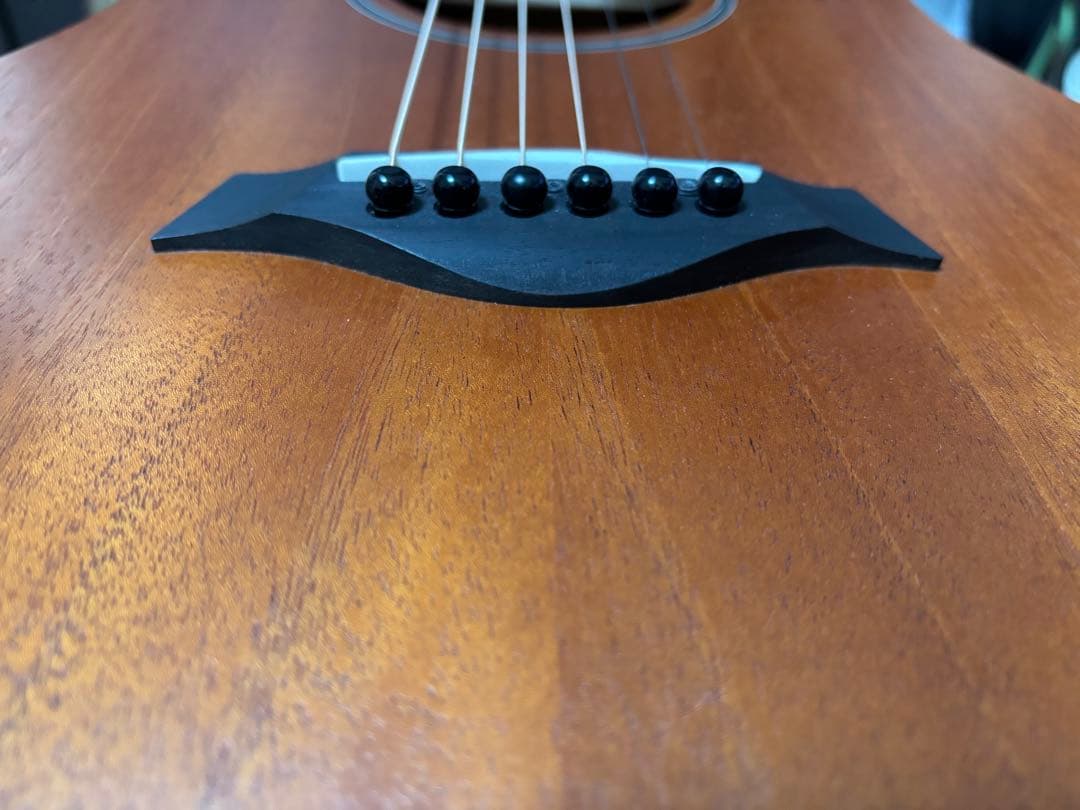 Taylor BT2E エレアコ