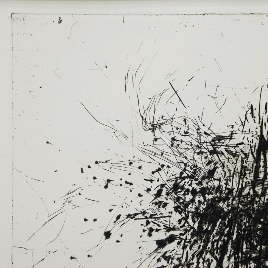 白木ゆり『ripeness-15』5/30 エッチング 版画 抽象画 絵画