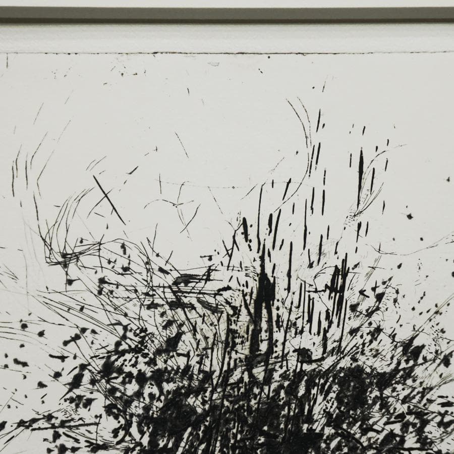 白木ゆり『ripeness-15』5/30 エッチング 版画 抽象画 絵画