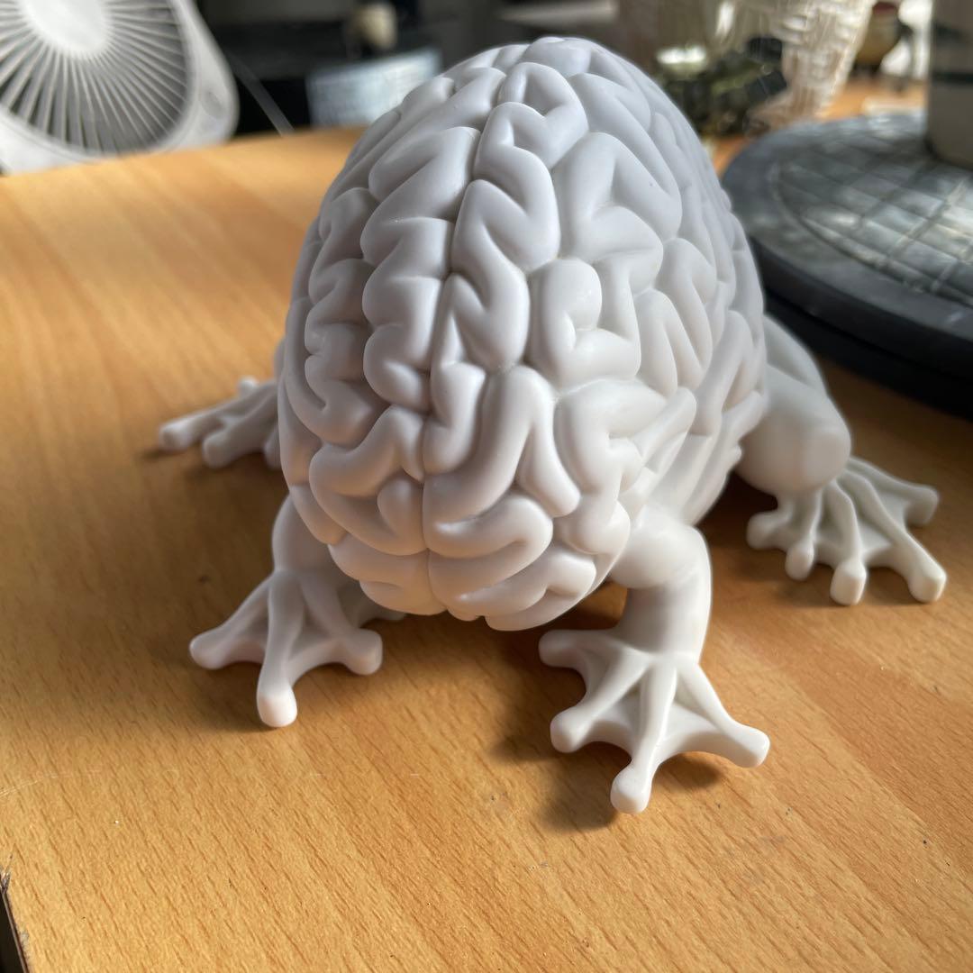 脳の形 カエル フィギュア ホワイト