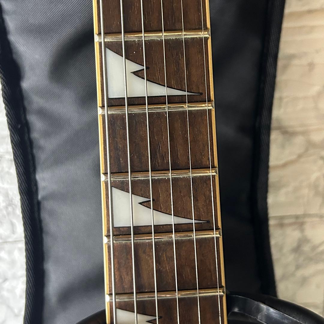 Ibanez RG350DX エレキギター ホワイト - 純正ソフトケース付き