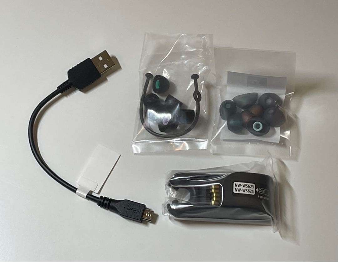 SONY ワイヤレスイヤホン ブラック NW-WS623