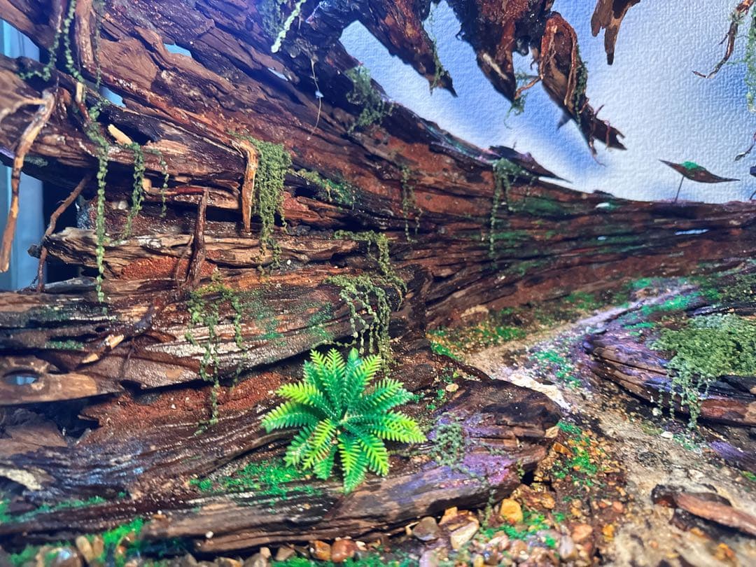 【マツヨシワールド】熟練職人手作り流木アクアスケープ 渓谷と浮遊雲群 手入れ不要