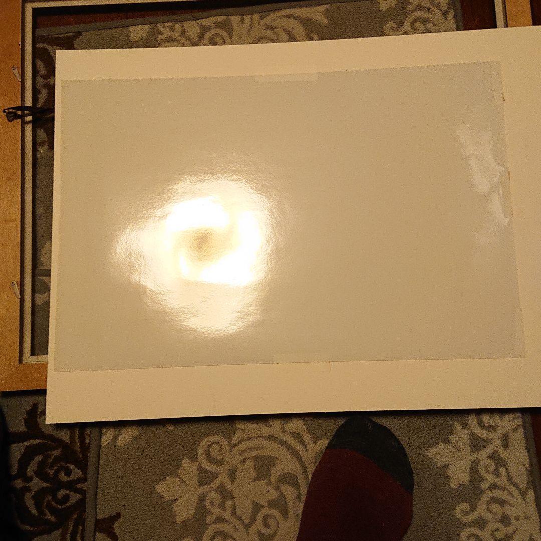 カラー魚拓 山本龍香作品 リトグラフ