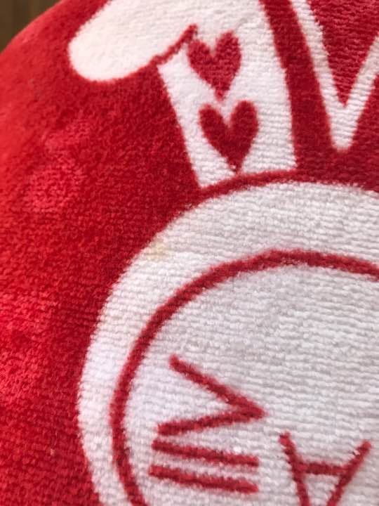 アンカフェ Bondsタオル