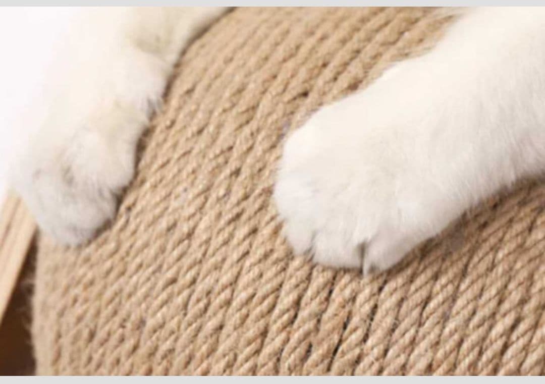 つめとぎボールとキャッチミーイフユーキャン オマケ付き