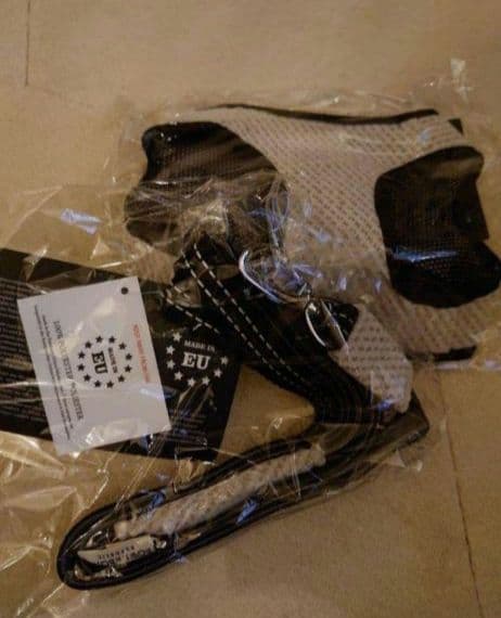 Bowl&Bone ハーネス リード セット BBR FUWA 犬 小型犬