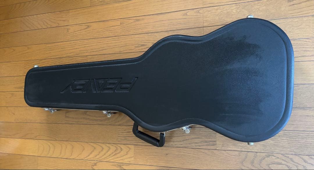 PeaveyWolfgang Special 、ハードケース付き