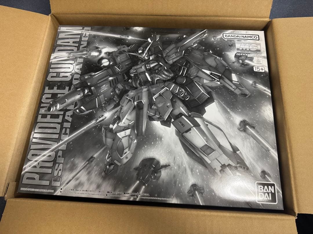 【新品未使用】ＭＧ1/100 プロヴィデンスガンダム [スペシャルコーティング]