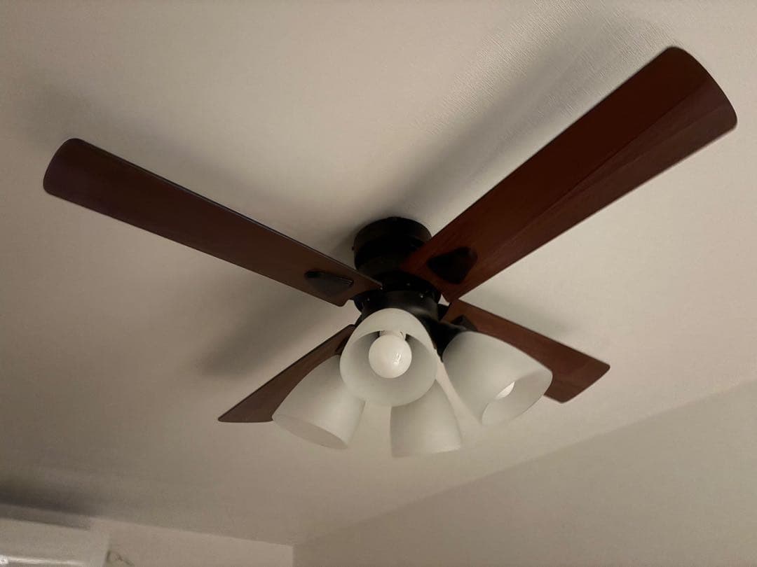 lowya シーリングファン　照明