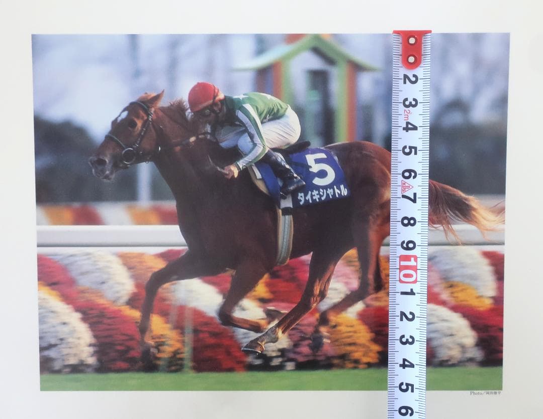 中央競馬(JRA)年度代表馬【1983年度～1998年度】写真16枚セット