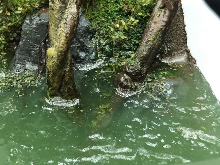 シャア専用ズゴックジャブロー 基地強襲　レジンジオラマ