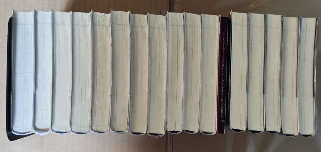 初版帯付　転生した大聖女は、聖女であることをひた隠す　小説　特典多数