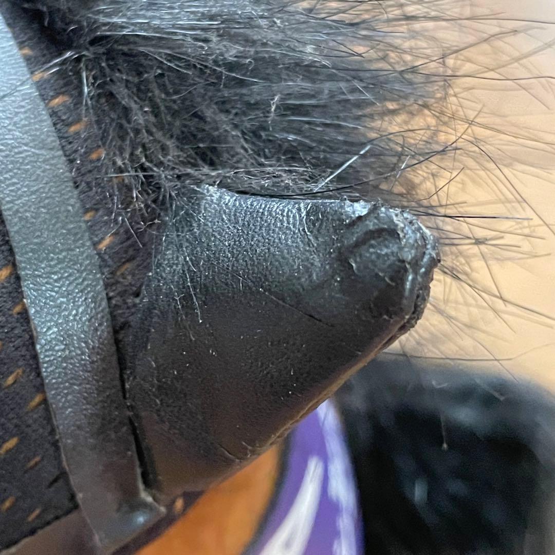 アイドルホース【ジェンティルドンナ/第59回 有馬記念 4 】レギュラー