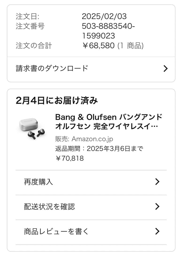 Bang & Olufsen バングアンドオルフセンBEOPLAY ELEVEN