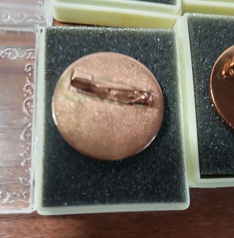 第2回ポケモンリーグ公式大会 勝利のバッチ【非売品】