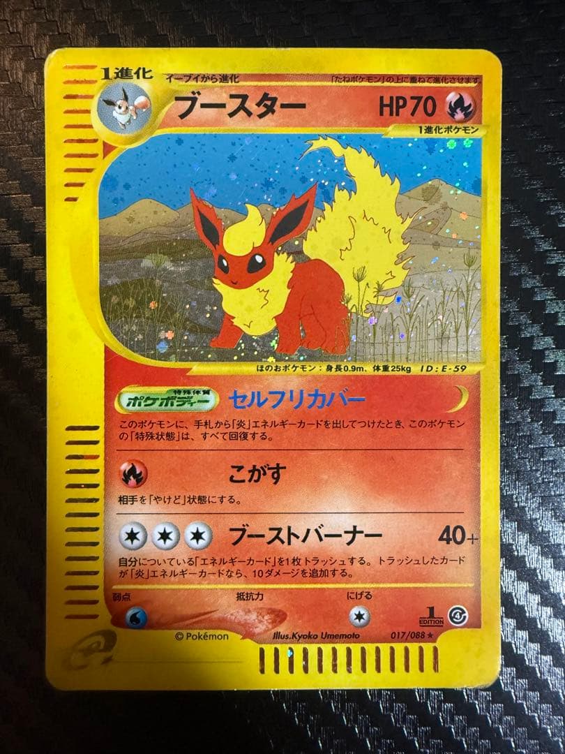 ブースター 拡張パック第4弾 裂けた大地 017/088 カードe
