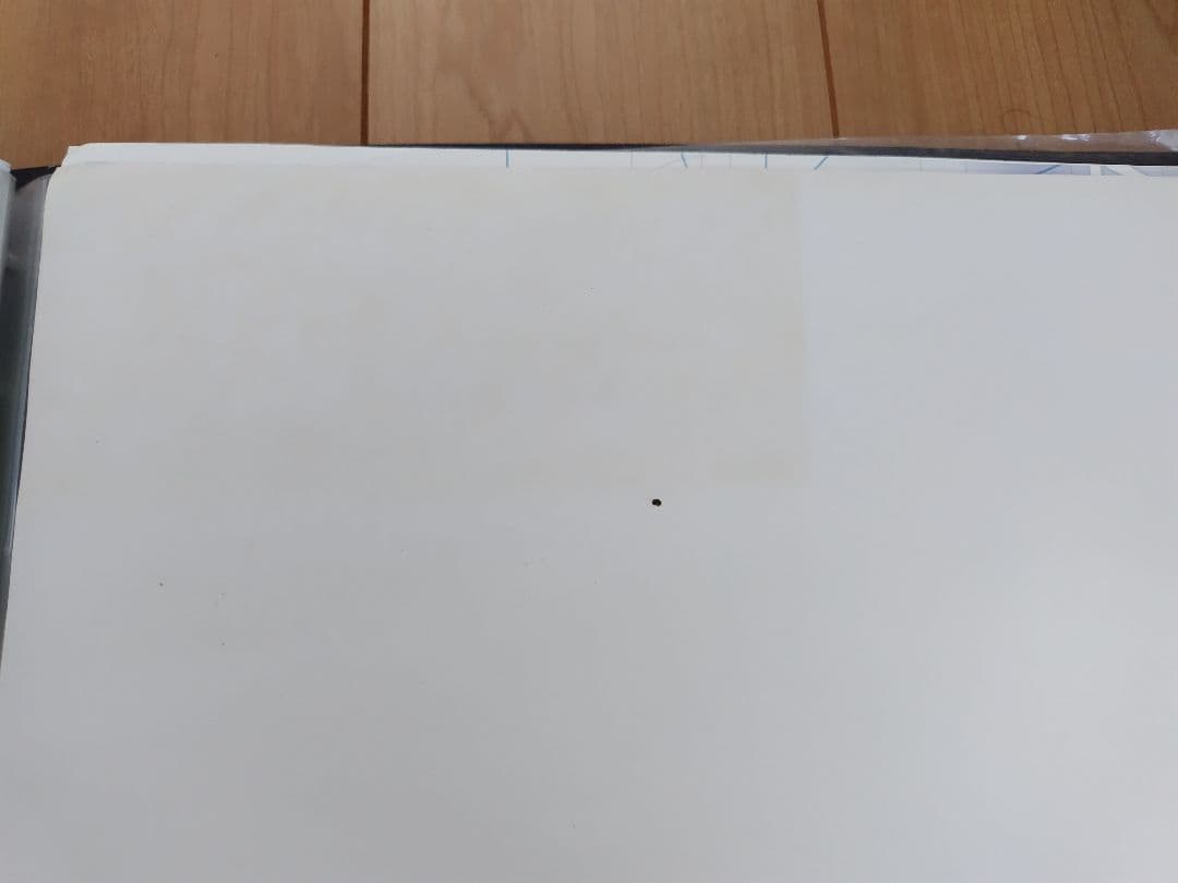 非売品 エヴァンゲリオン ポスター2枚セット