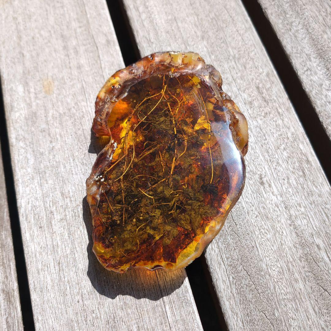 琥珀　化石　塊