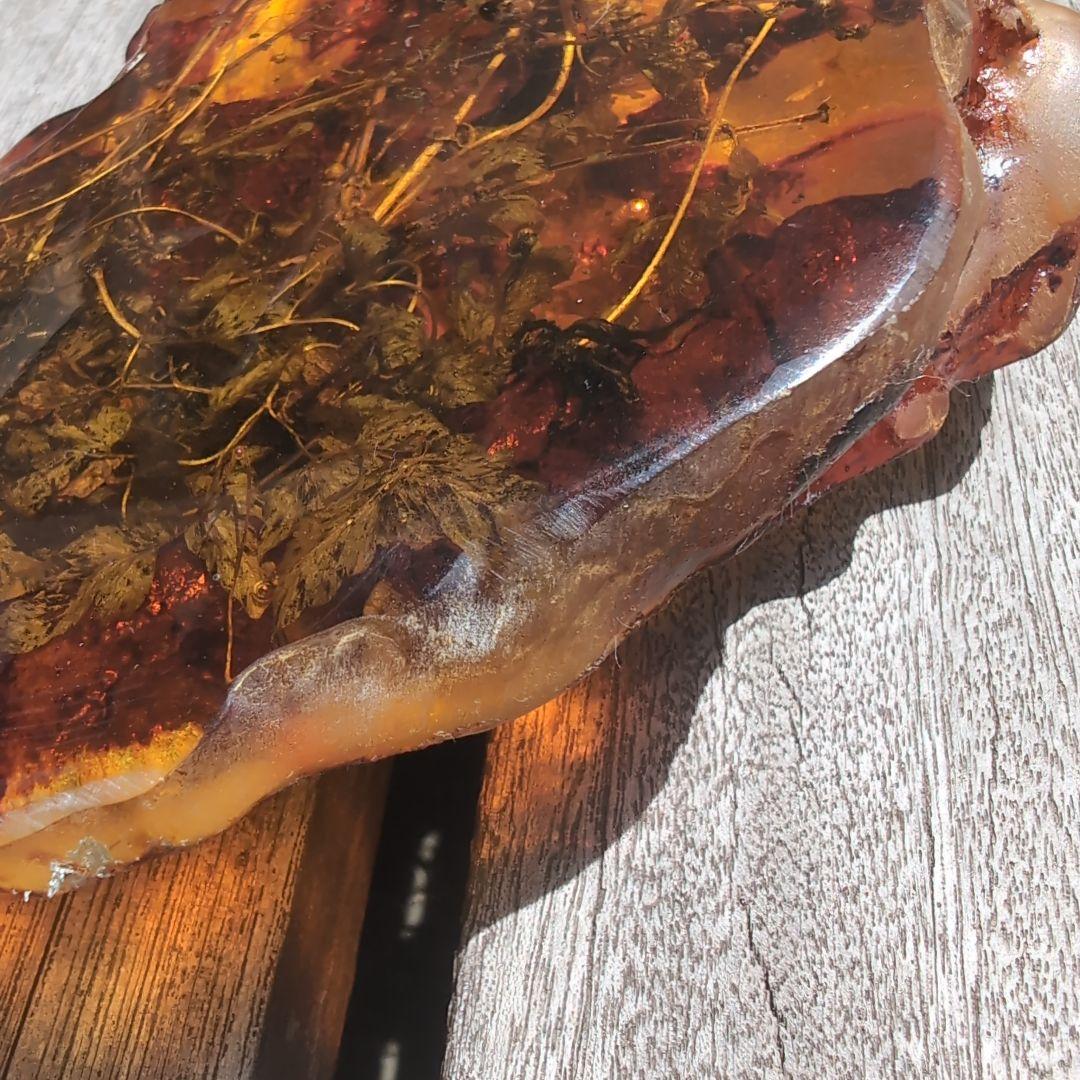 琥珀　化石　塊