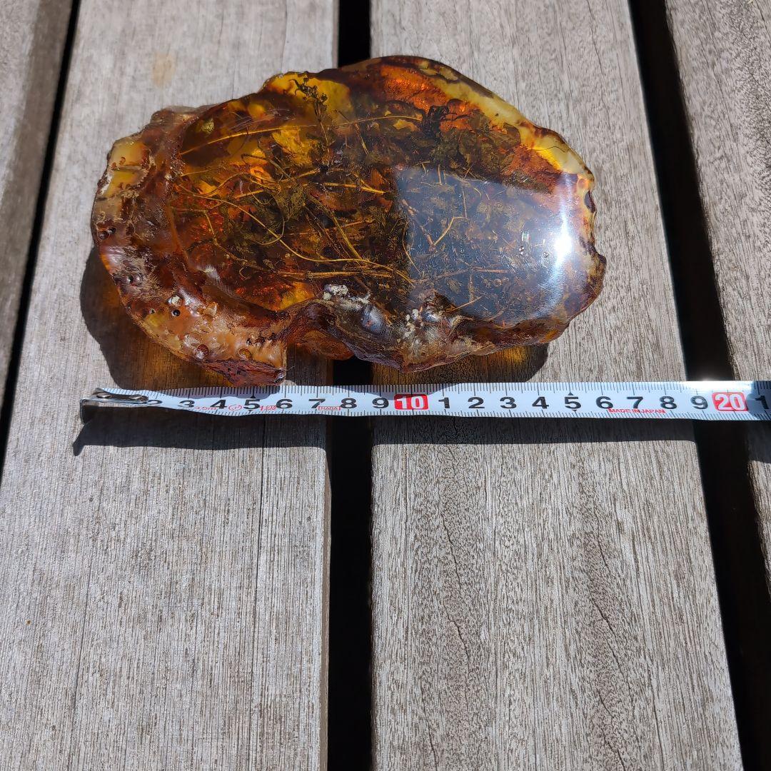 琥珀　化石　塊