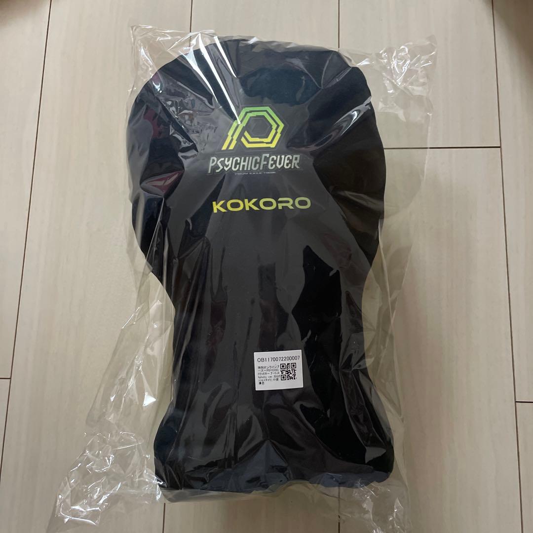 PSYCHIC FEVER 小波津志　クッション