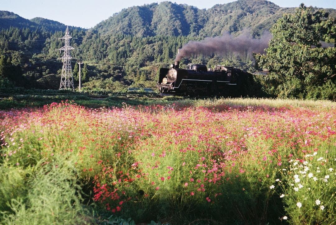 【実写確認整備品】EXAKTA TL500／Orestor50mmf2.8付