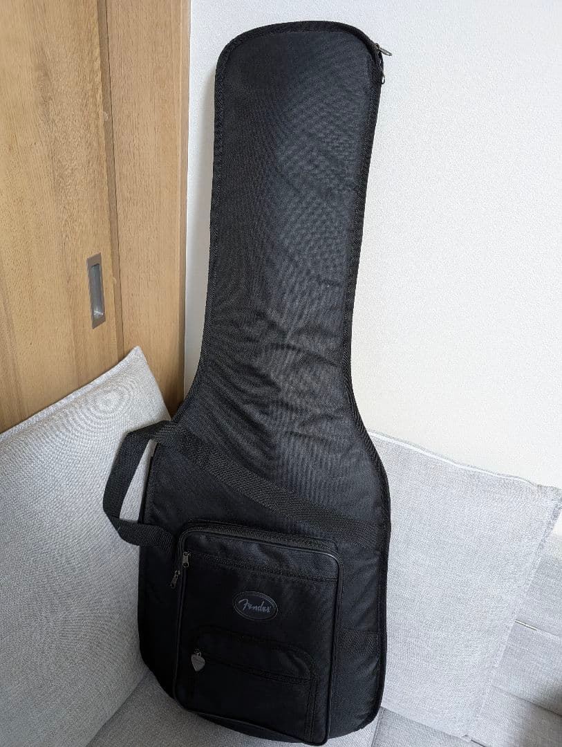 (レイ) Fender Player Plus Stratocaster