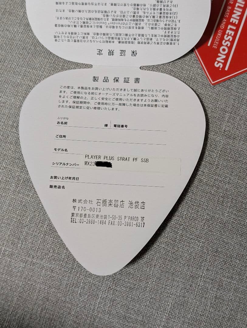 (レイ) Fender Player Plus Stratocaster