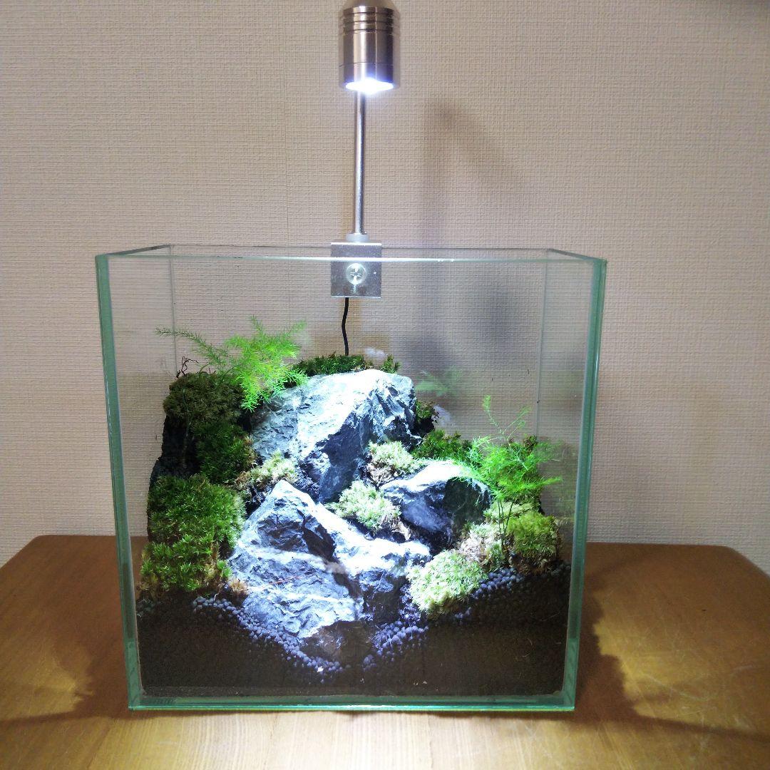 【オーダーメイド】滝のあるアクアテラリウム　苔テラリウム　アクアリウム