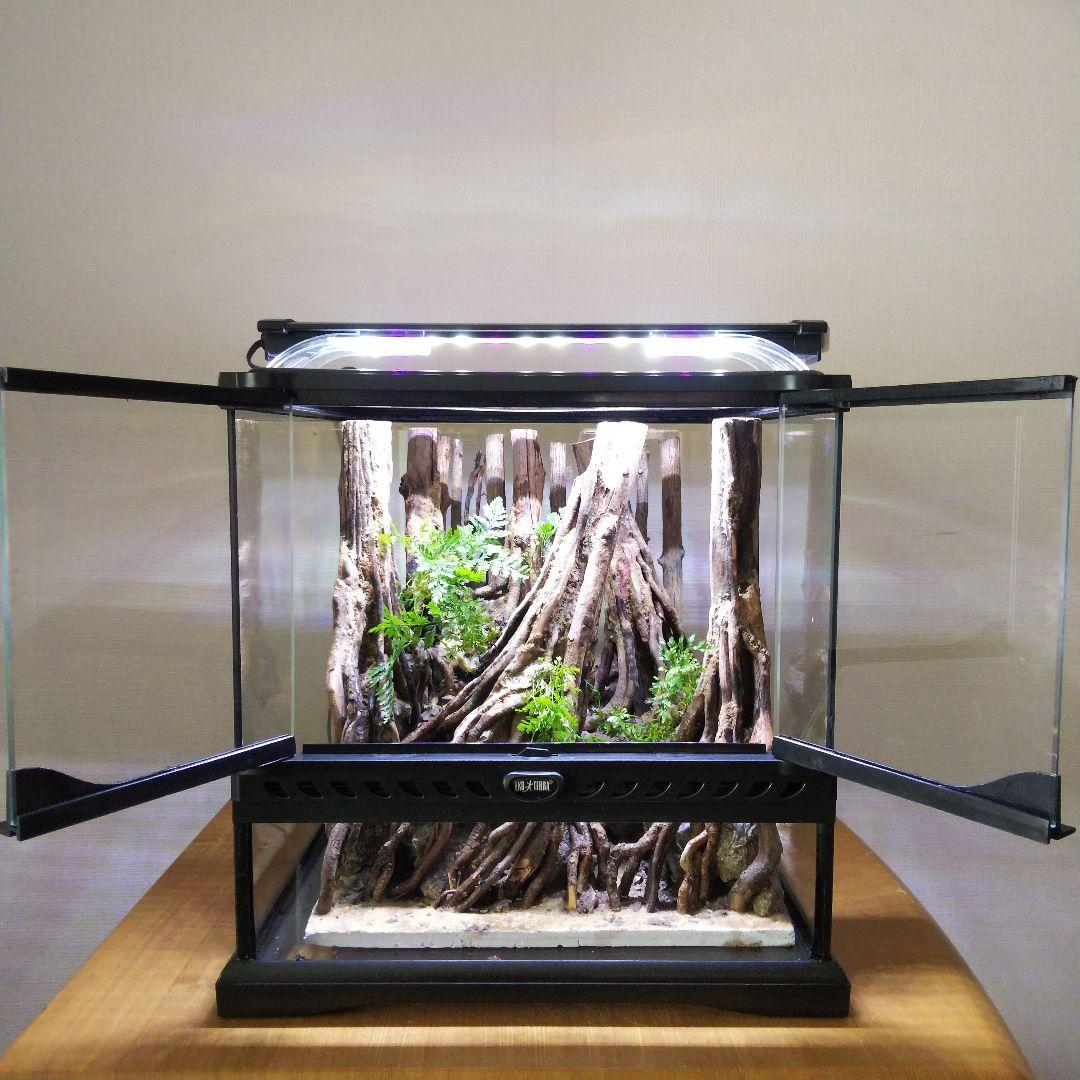 【オーダーメイド】滝のあるアクアテラリウム　苔テラリウム　アクアリウム