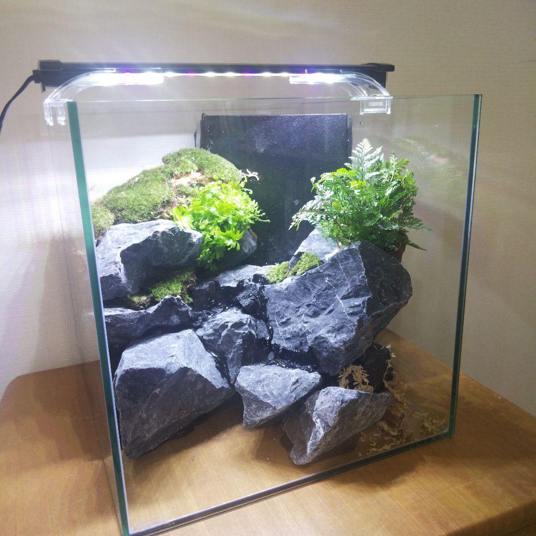 【オーダーメイド】滝のあるアクアテラリウム　苔テラリウム　アクアリウム
