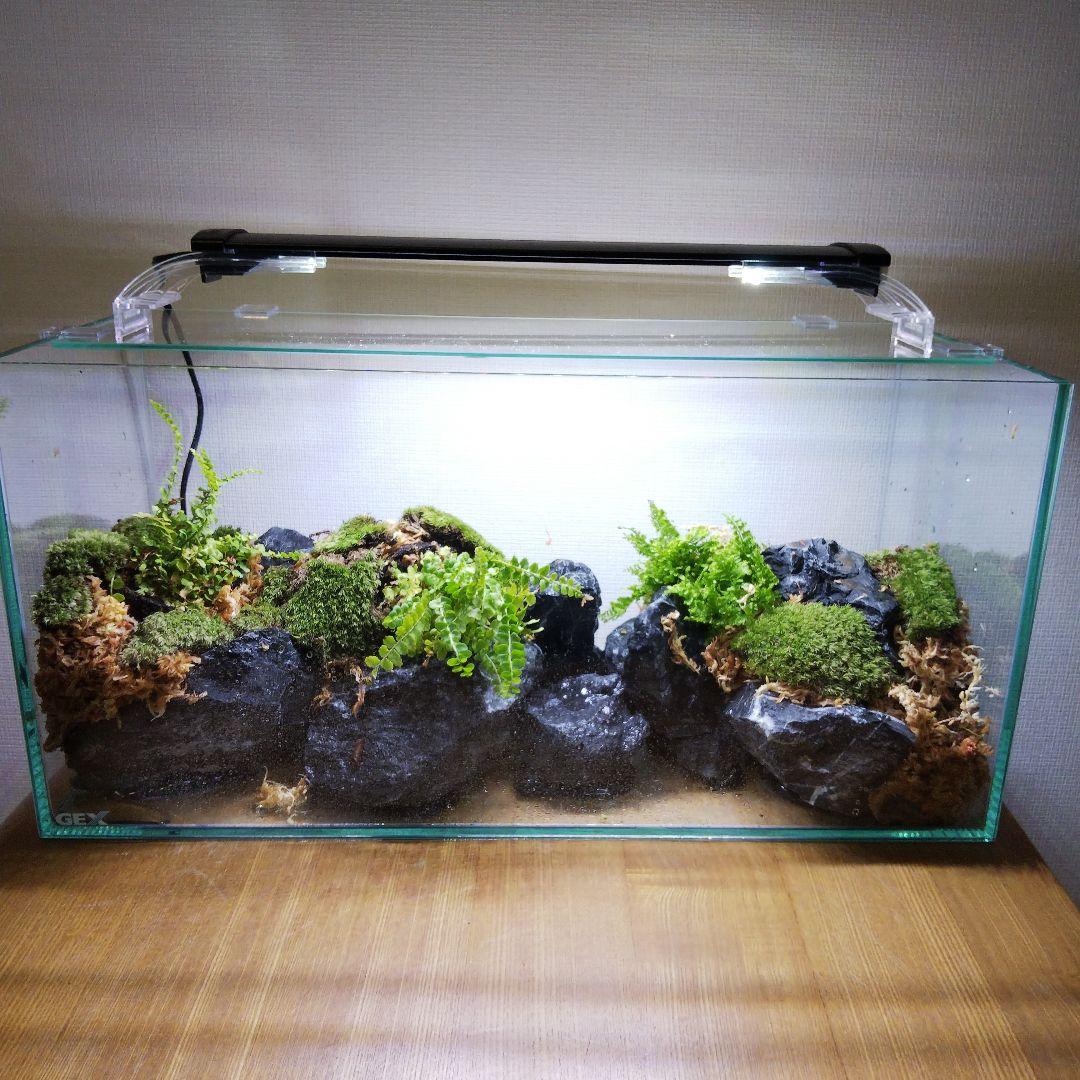 【オーダーメイド】滝のあるアクアテラリウム　苔テラリウム　アクアリウム