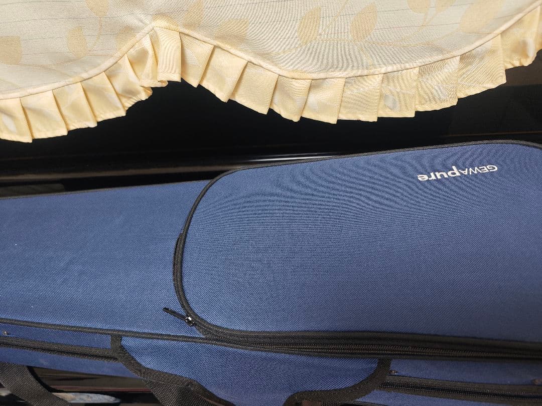 【ベス】GEWA バイオリン 2013年製　4/4　ケース・弓セット