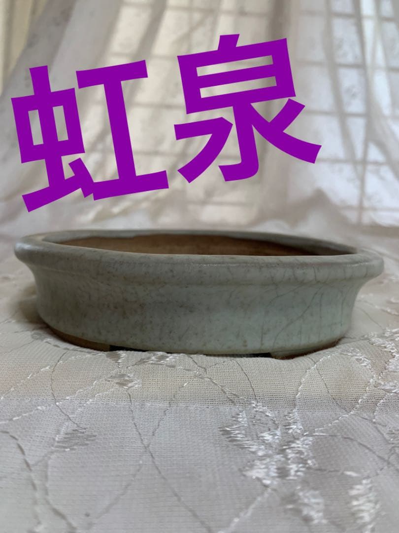 虹泉　盆栽鉢　楕円　浅め