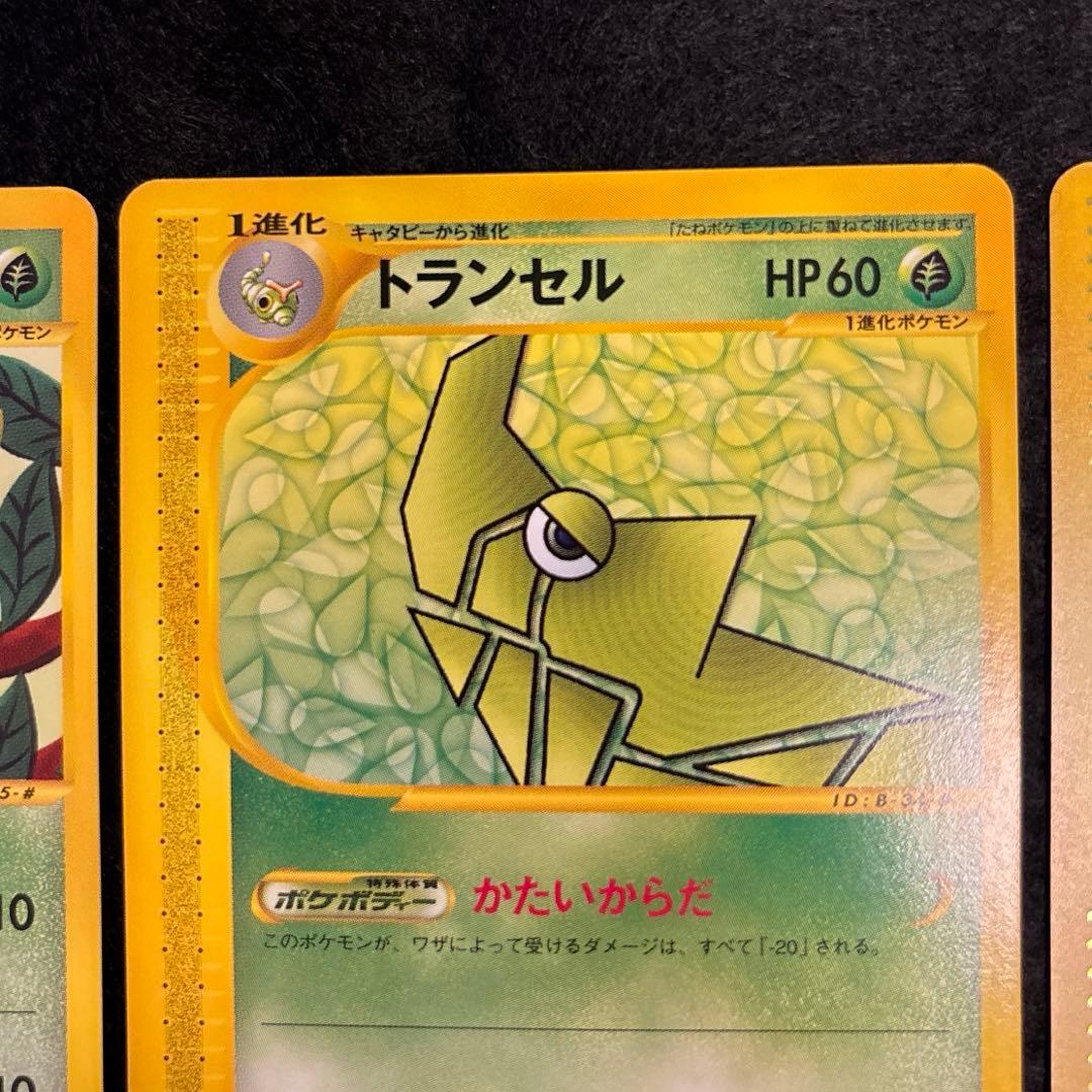 ふ*ぅ様 #ゆんの気まぐれオークション　（梅）　キャタピー　トランセル　バタフリ