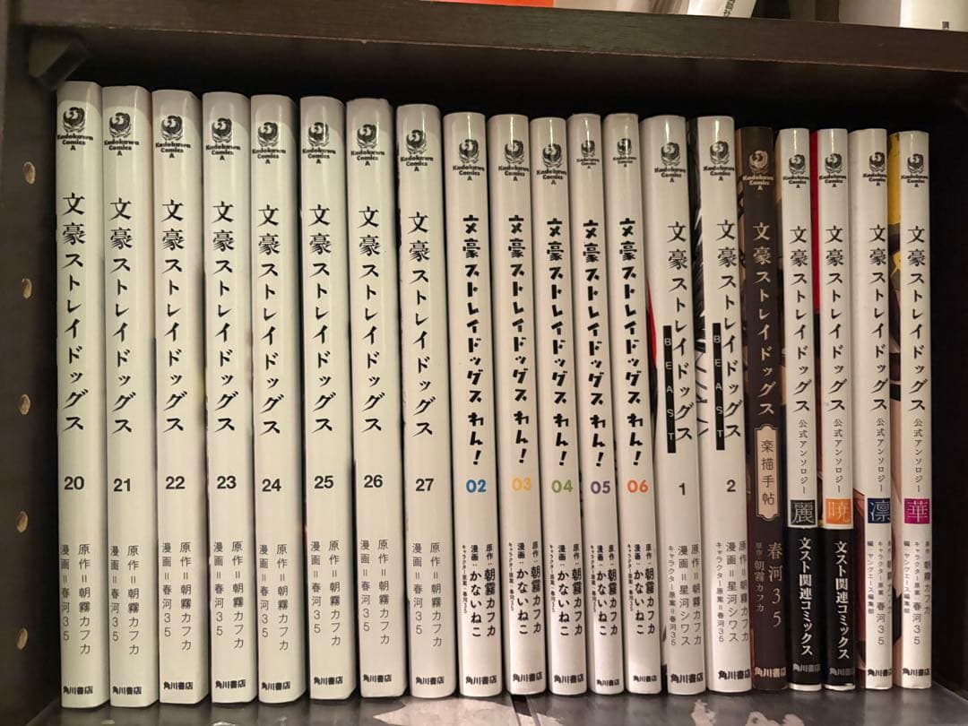 文豪ストレイドッグス 1〜27巻 既刊全巻+関連本12冊セット