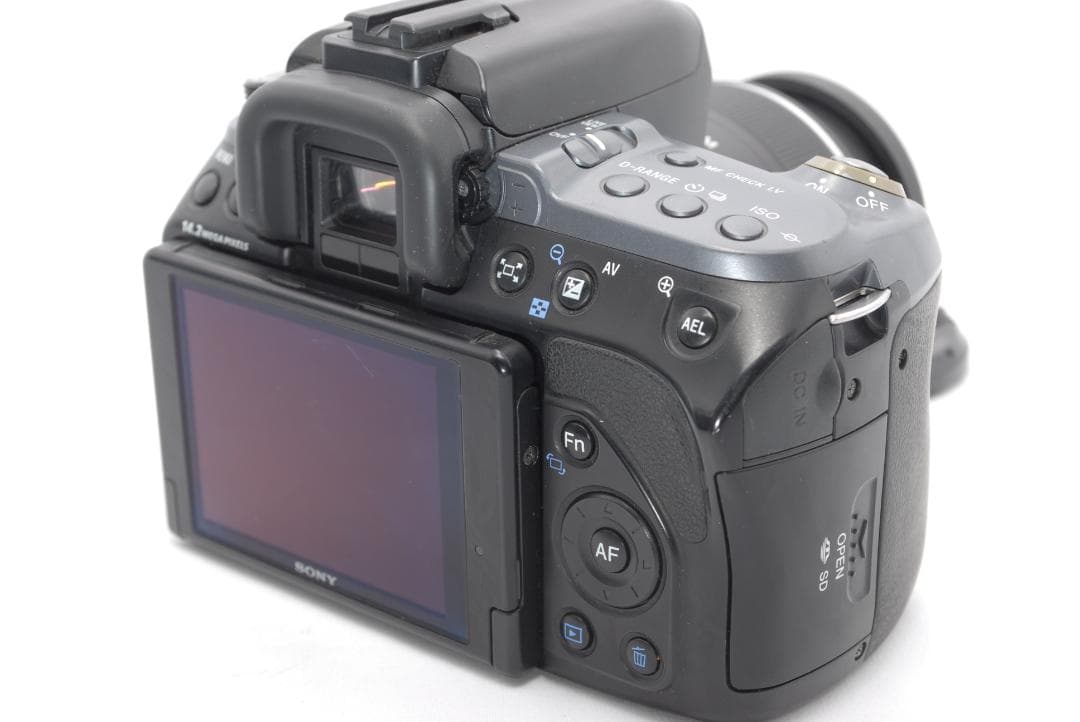 ✨スナップに最適✨SONY α550✨チルト式液晶✨初心者向け✨操作簡単✨一眼✨