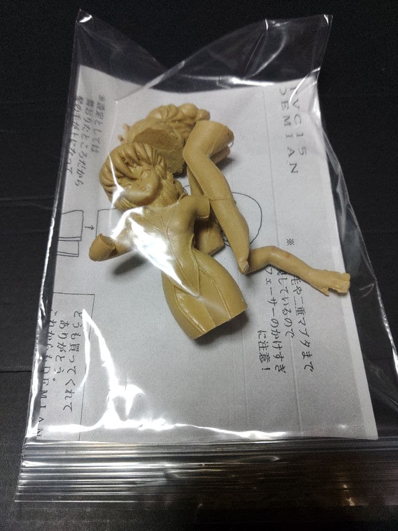 ガレージキット　ダンバイ　チャムファウ　ガレキ　プラモデル