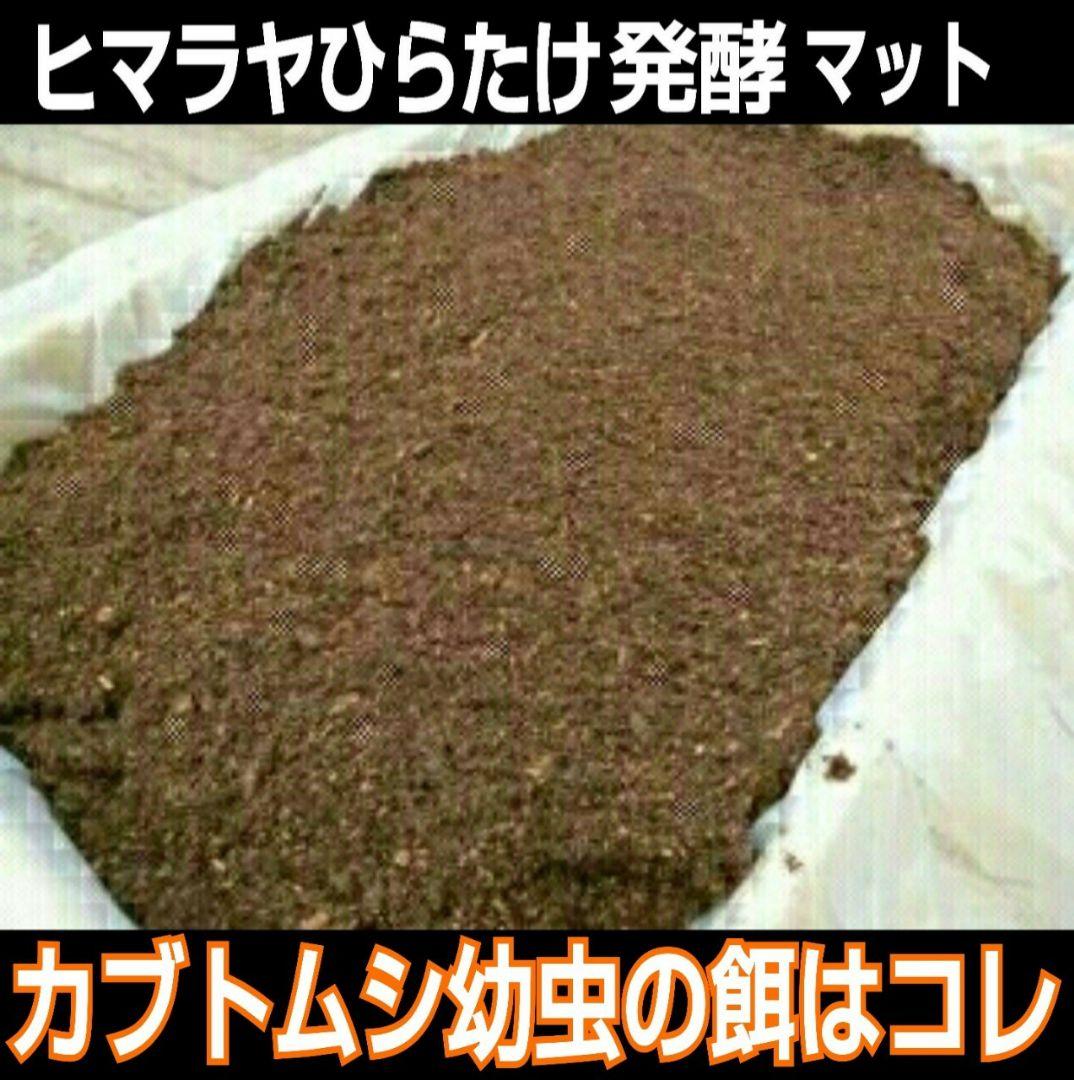 80リットル☆ヒマラヤひらたけ発酵カブトムシマット　幼虫が巨大化します！栄養抜群