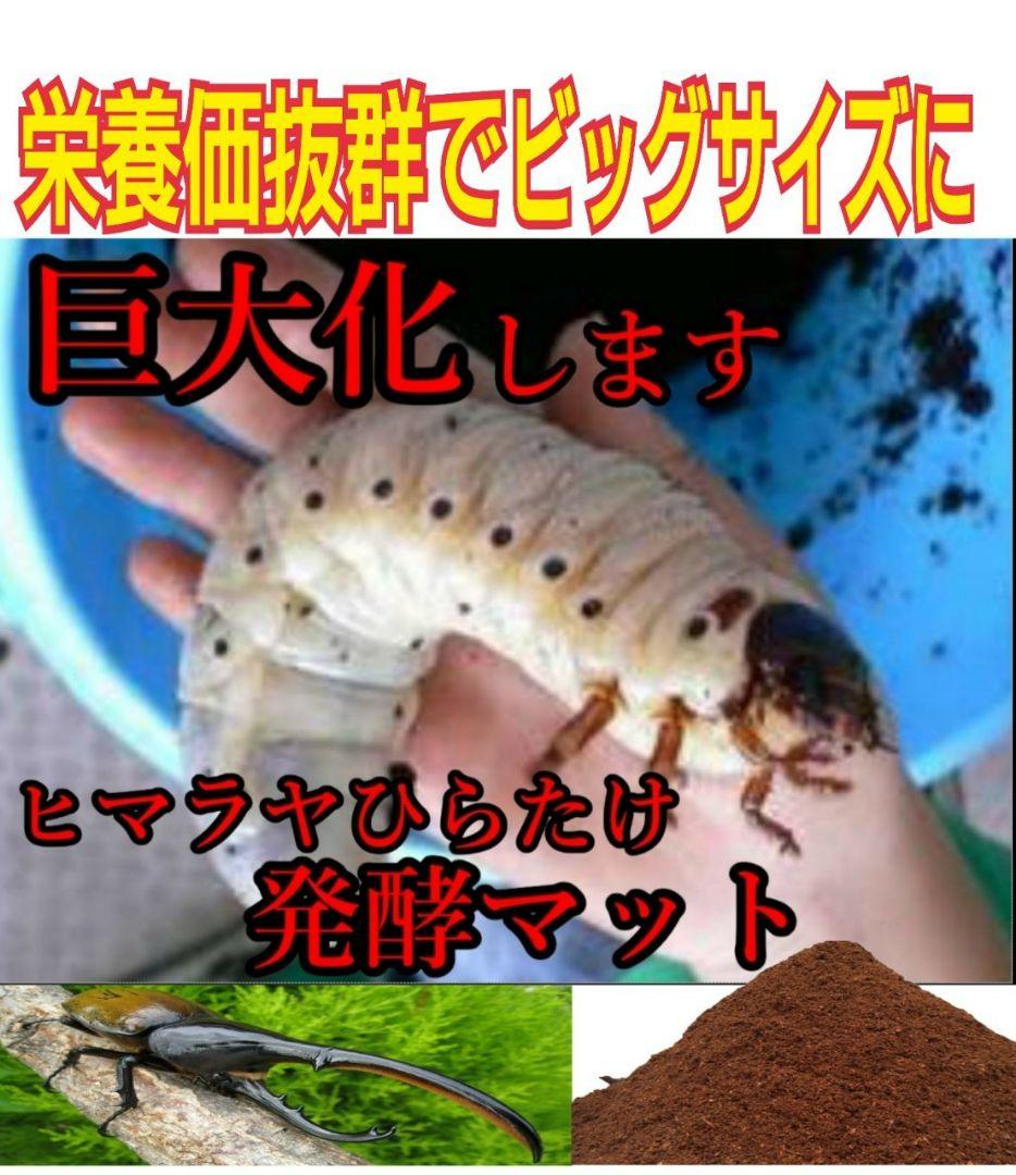80リットル☆ヒマラヤひらたけ発酵カブトムシマット　幼虫が巨大化します！栄養抜群