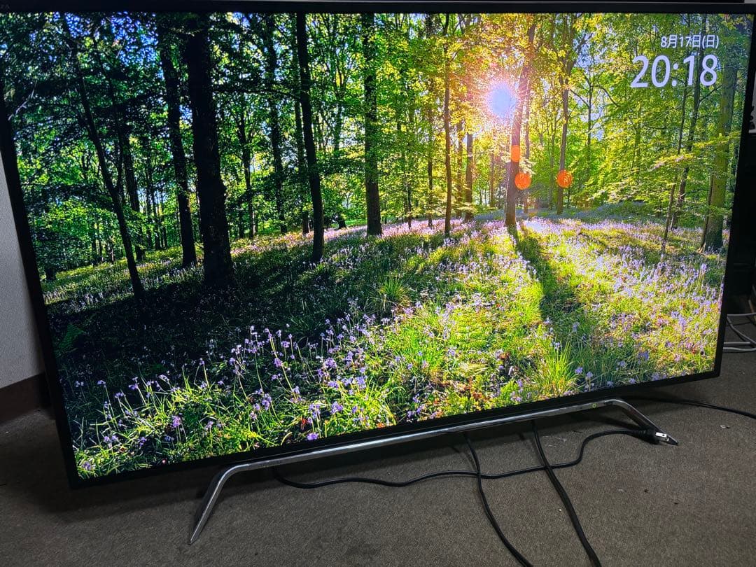 TOSHIBA東芝 REGZA 『Z20X 50Z20X』