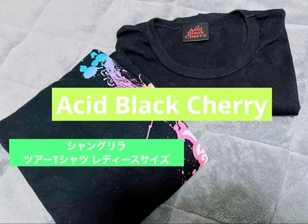 【美品】Acid Black Cherry Tシャツ2枚 ショルダーバッグ
