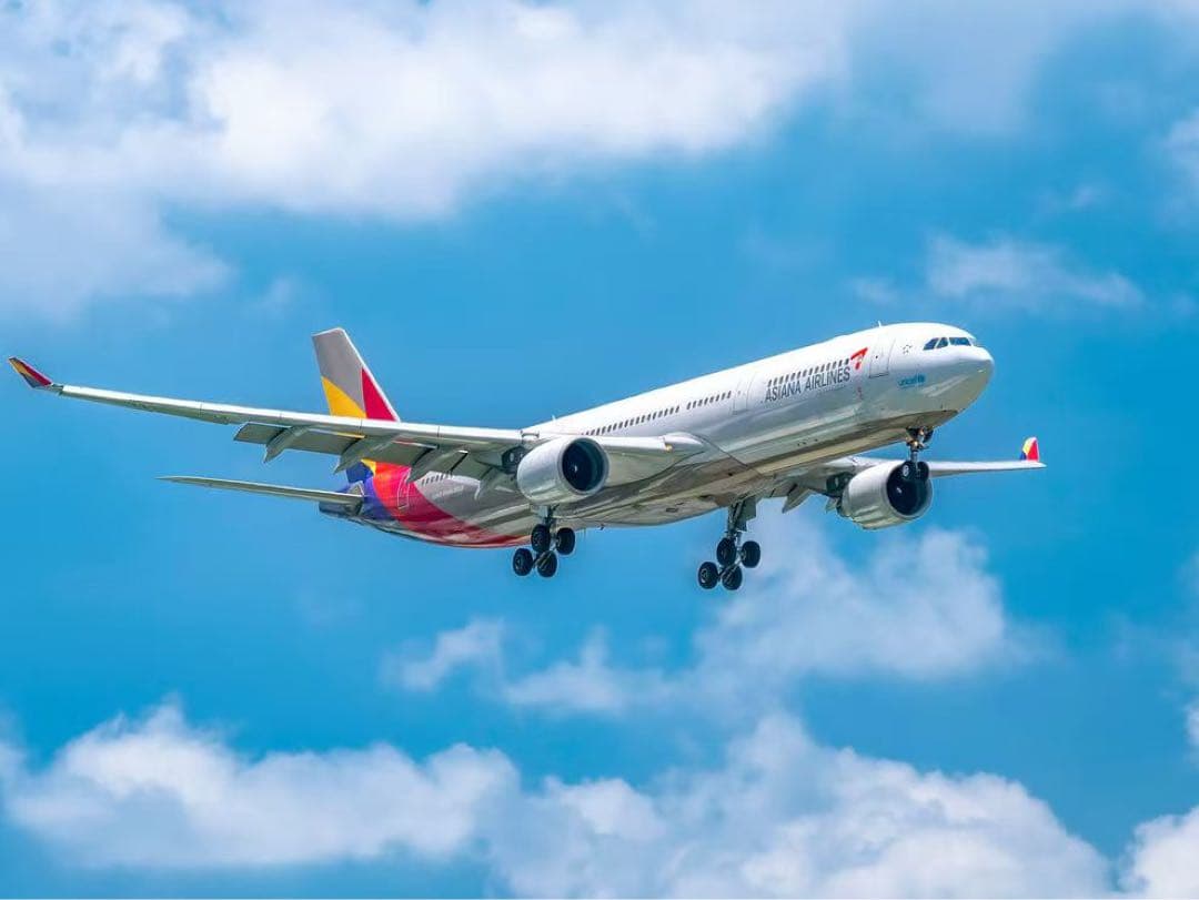 アシアナ航空 A330 Airlinertags スターアライアンス 立体感3色