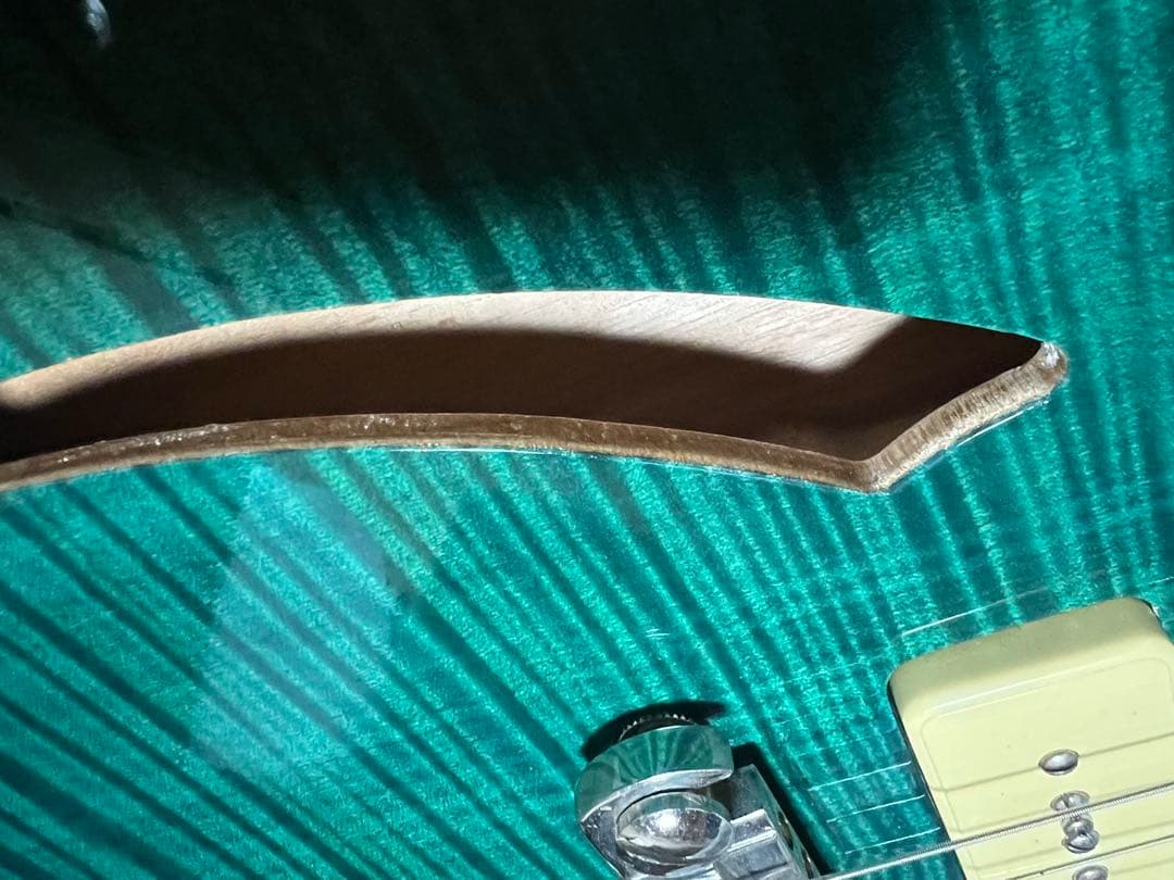 【希少】PRS SE Cnstom 22 セミホロウ　P-90タイプ