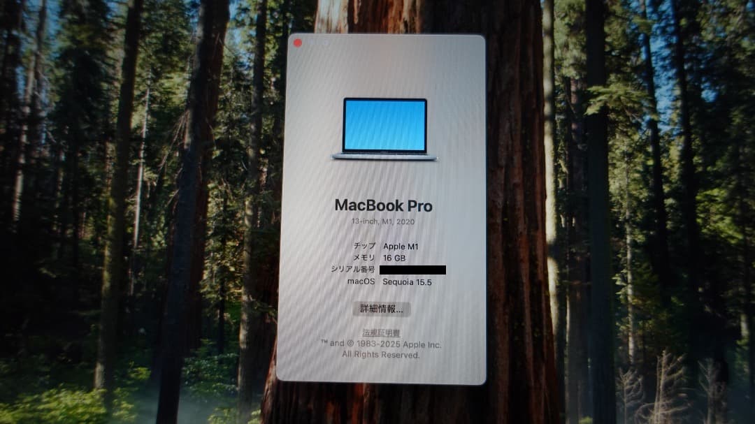 MacBook Pro13 M1 16GB 512GB 充放電58回残量91%