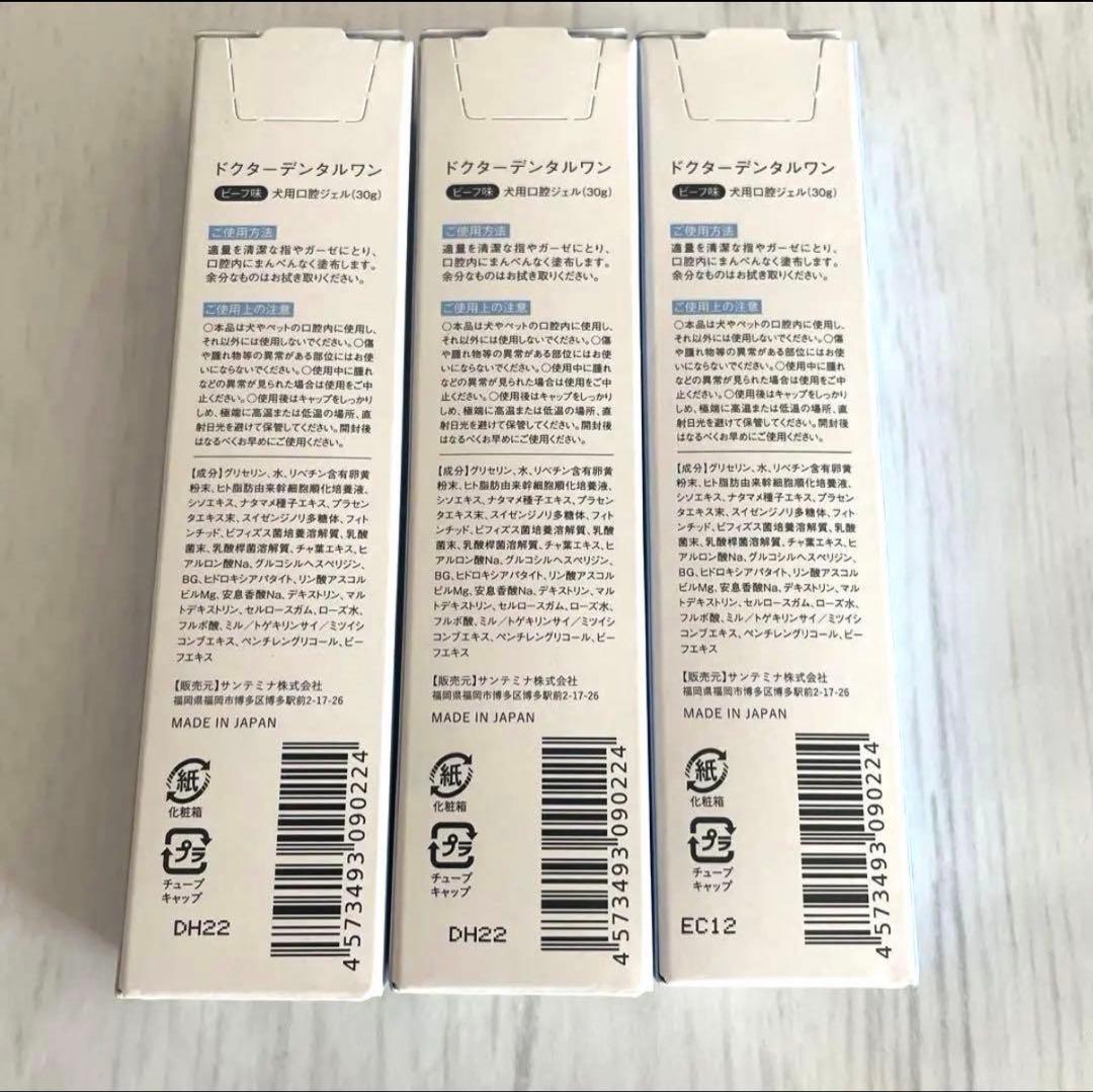 Dr. Dental Wan デンタルケア 30g×3